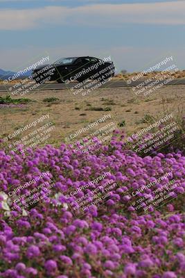 media/Jan-08-2023-SCCA SD (Sun) [[8f6a5b9391]]/Advanced Group/Session 2 (Short Straight)/